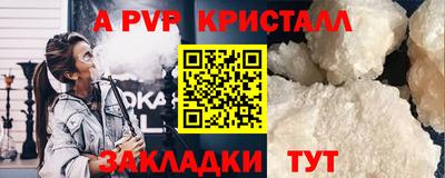 бошки Шелехов