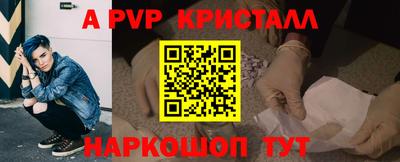 бошки Шелехов